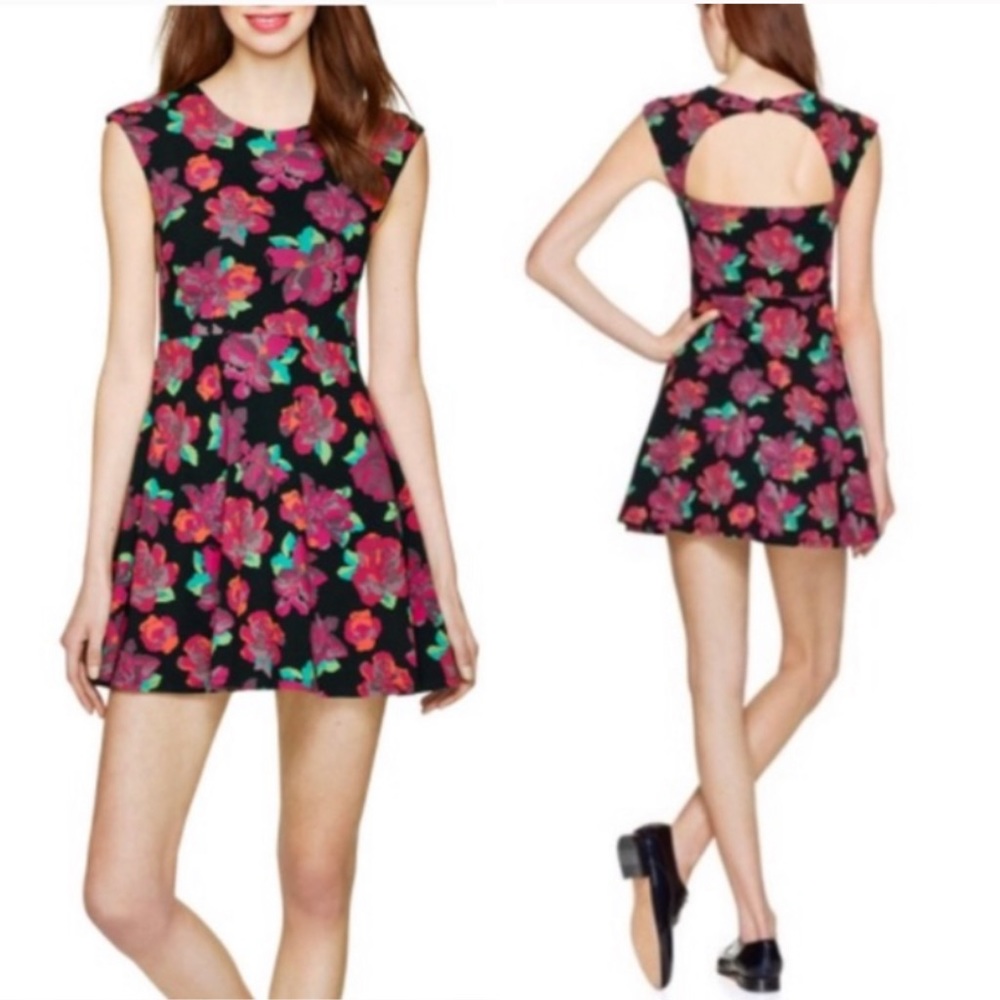 Talula Aritzia Palmetto Mini Skater Dress